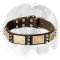 Exellent English Bulldog Collar equipped with stylish decoration