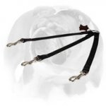 English Bulldog Nylon Coupler Leash for 3 Dogs