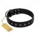 "Flower Rhapsody" FDT Artisan Premium Quaulity Black Leather English Bulldog Collar
