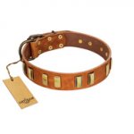 "Olive Slice" FDT Artisan Tan Leather English Bulldog Collar with Engraved and Smooth Plates