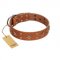 "Dreamy Gleam" FDT Artisan Tan Leather English Bulldog Collar Adorned with Stars and Squares