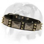 Amazing adorned leather dog collar created for English Bulldog breed