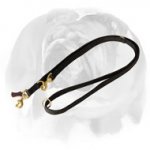 English Bulldog Multifunctional Nylon Dog Leash