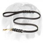 English Bulldog Braided Leather Dog Leash 1/2 inch Wide