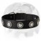 Incredible Doggy's Look with Nylon Dog Collar Decorated with Conchos