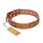 "Cosmic Traveller" FDT Artisan Adorned Leather English Bulldog Collar with Old Bronze-Plated Stars and Plates