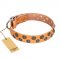 "Precious Sparkle" Exquisite FDT Artisan Tan Leather Collar for English Bulldog