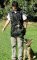 English Bulldog Dog Training Vest-Dog Trainer Supplies