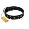 "Snappy Dresser" FDT Artisan Black Leather English Bulldog Collar Adorned with Stars and Tiny Squares