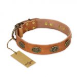 "Magic Amulet" FDT Artisan Tan Leather English Bulldog Collar with Oval Studs