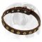 Tremendous Decorated Leather Dog Collar for English Bulldog breed