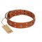 "Tawny Beauty" FDT Artisan Tan Leather English Bulldog Collar Adorned with Stars and Tiny Squares