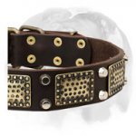 English Bulldog Vintage Style Pure Leather Dog Collar with Brass Decorations