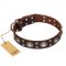 'Age of Beauty' FDT Artisan Incredible Studded Brown Leather English Bulldog Collar