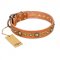 "Feast of Luxury" FDT Artisan Tan Leather English Bulldog Collar with Old Bronze Look Circles