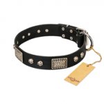 "Pirates Gold" FDT Artisan Black Leather English Bulldog Collar with Old Silver Look Plates and Skulls