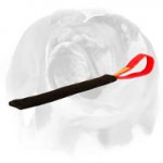 English Bulldog French Linen Tug for Puppy Bite Training