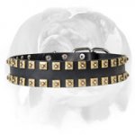English Bulldog Leather Vintage Style “Caterpillar” Dog Collar