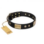 "Antique Gloss" FDT Artisan Black Leather English Bulldog Collar with Bronze-like Plates and Small Studs