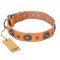 "Twinkle Twinkle" FDT Artisan Incredible Studded Tan Leather English Bulldog Collar