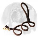 English Bulldog Exquisite Design Braided Leather Dog Leash