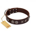 "Silver Sunset" Designer Handmade FDT Artisan Brown Leather English Bulldog Collar
