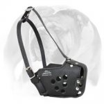 Police Leather English Bulldog Muzzle for Service Dogs