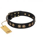 "Golden Artifact" FDT Artisan Black Leather English Bulldog Collar with Old-bronze Covered Medallions