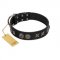 "Century Silver" Designer Handmade FDT Artisan Black Leather English Bulldog Collar