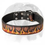 Extraordinary Leather Dog Collar for your English Bulldog.