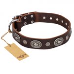 "Extra Pizzazz" FDT Artisan Adorned Brown Leather English Bulldog Collar