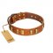"Olive Slice" FDT Artisan Tan Leather English Bulldog Collar with Engraved and Smooth Plates