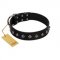 "Immense Power" Handcrafted FDT Artisan Black Leather English Bulldog Collar with Small Dotted Pyramids