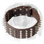 English Bulldog Leather Wide Dog Collar with Spikes and Pyramids