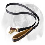 English Bulldog Comfortable Walking Dog Leash with Soft Padding