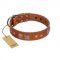 "Egyptian Gifts" Handmade FDT Artisan Tan Leather English Bulldog Collar with Chrome-plated Pyramids