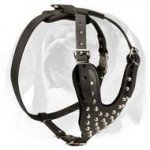 Neatly Designed English Bulldog Leather Dog Harness with Silver-Like Pyramids