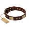 "Shining Armour" FDT Artisan Brown Leather English Bulldog Collar with Decorations