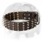 English Bulldog 2 inch Wide Leather Dog Collar with Spikes