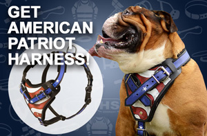 Leather dog harness