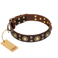 'Flower Melody' FDT Artisan Brown Leather English Bulldog Collar with Mixed Studs