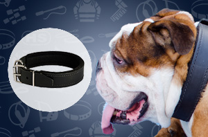 Leather dog collar