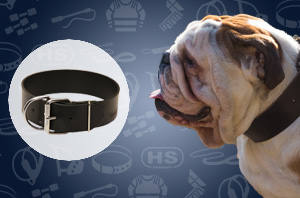Leather dog collar