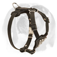 English Bulldog Genuine Leather Dog Harness with Cones for Puppies English Bulldog Genuine Leather Dog Harness with Cones for Puppies
