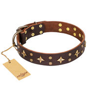 'High Fashion' FDT Artisan Embellished Brown Leather English Bulldog Collar
