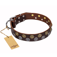 'Strong Shields' FDT Artisan Brown Leather English Bulldog Collar with Exquisite Decorations