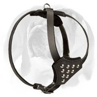 English Bulldog Durable Leather Dog Harness for Puppies English Bulldog Durable Leather Dog Harness for Puppies