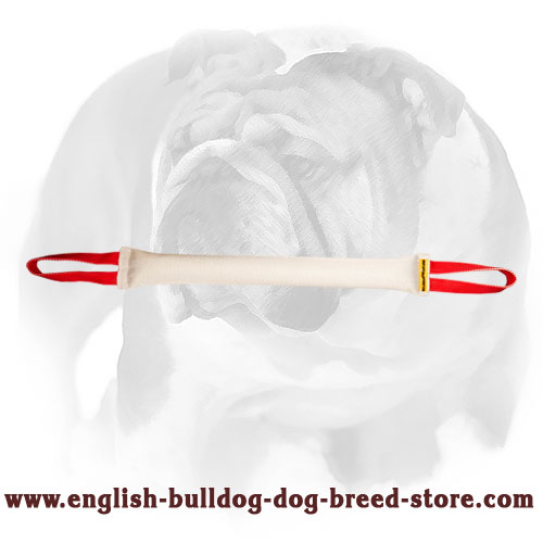 English Bulldog Fire Hose Dog Bite Tug with 2 Handles