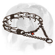 English Bulldog Trendy Black Steel Dog Handler - Herm Sprenger Dog Pinch Prong Collar of Stainless Steel