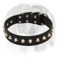 'Daily Elegance' English Bulldog Stylish Leather Dog Collar